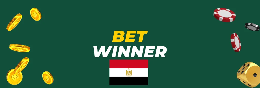 الشروط والأحكام لكازينو BetWinner في مصر