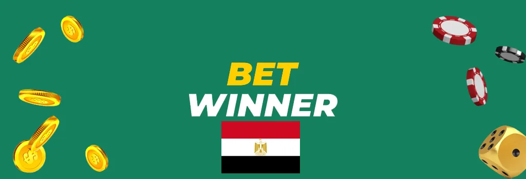 سياسة الخصوصية لكازينو BetWinner في مصر